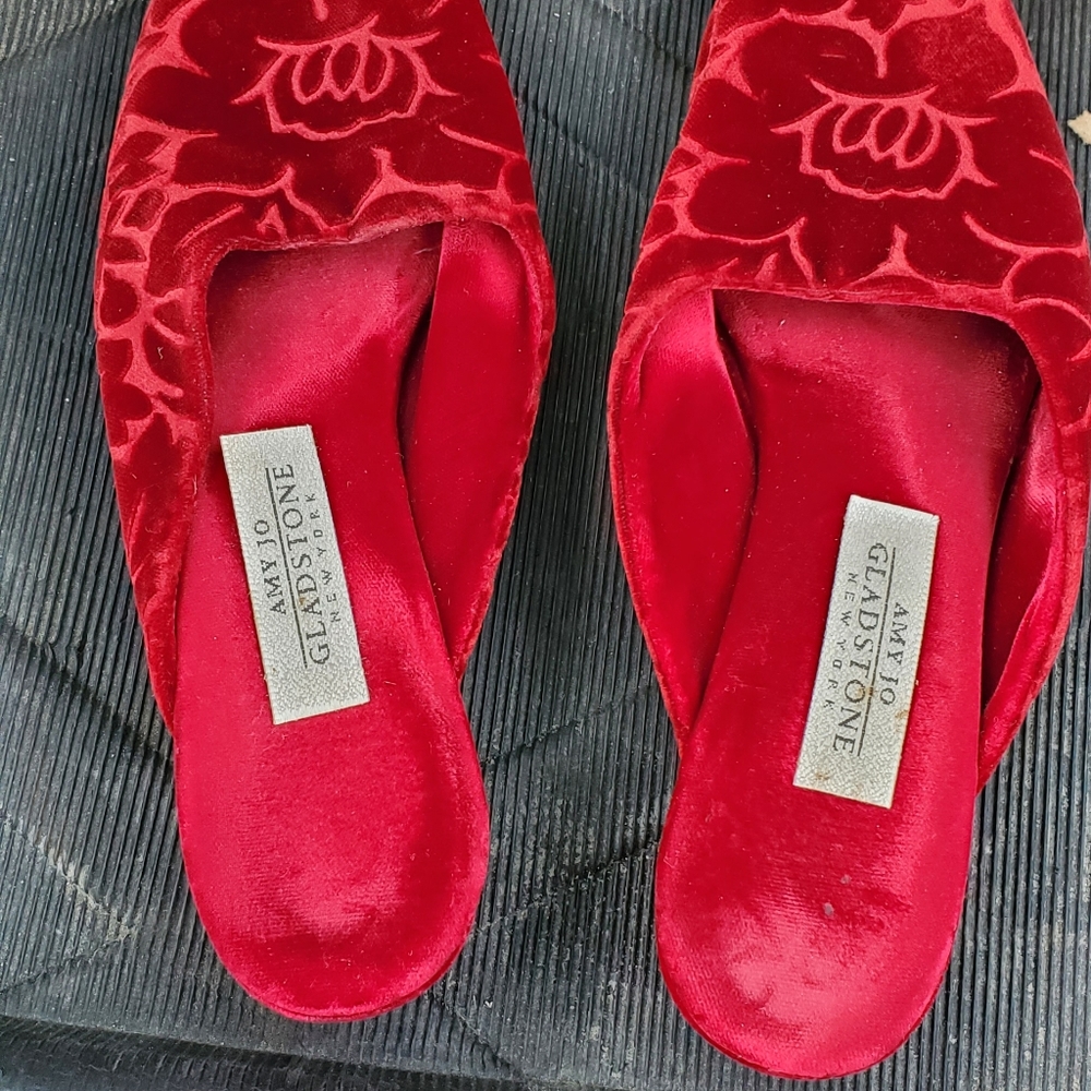 Amy Jo gladstone New York Slides